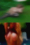 Looking for fucking